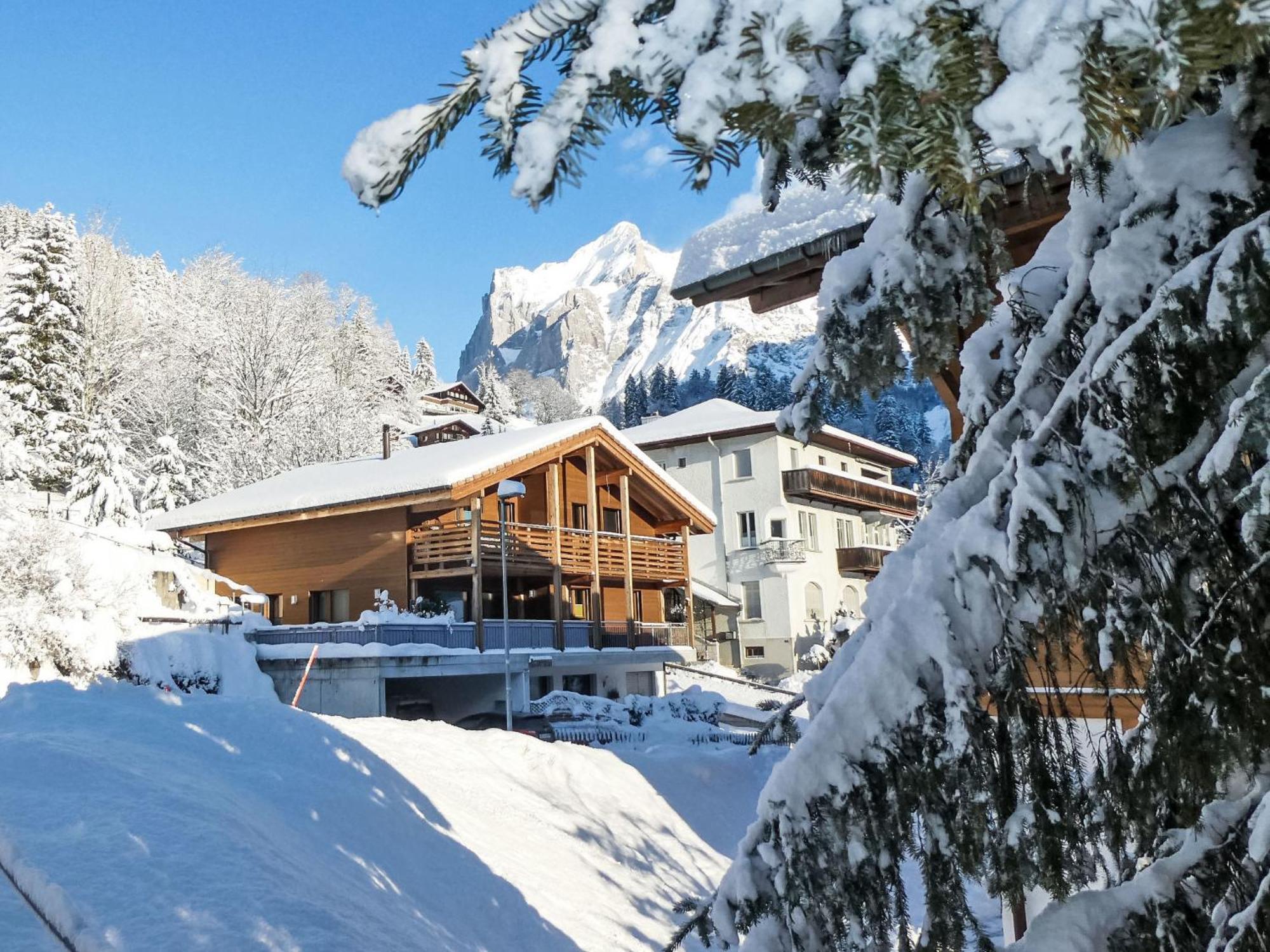 Apartment Chalet La Muntaniala By Interhome グリンデルヴァルト エクステリア 写真